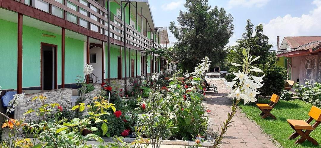 Hotel Casa Bucuria Costinesti Exterior foto